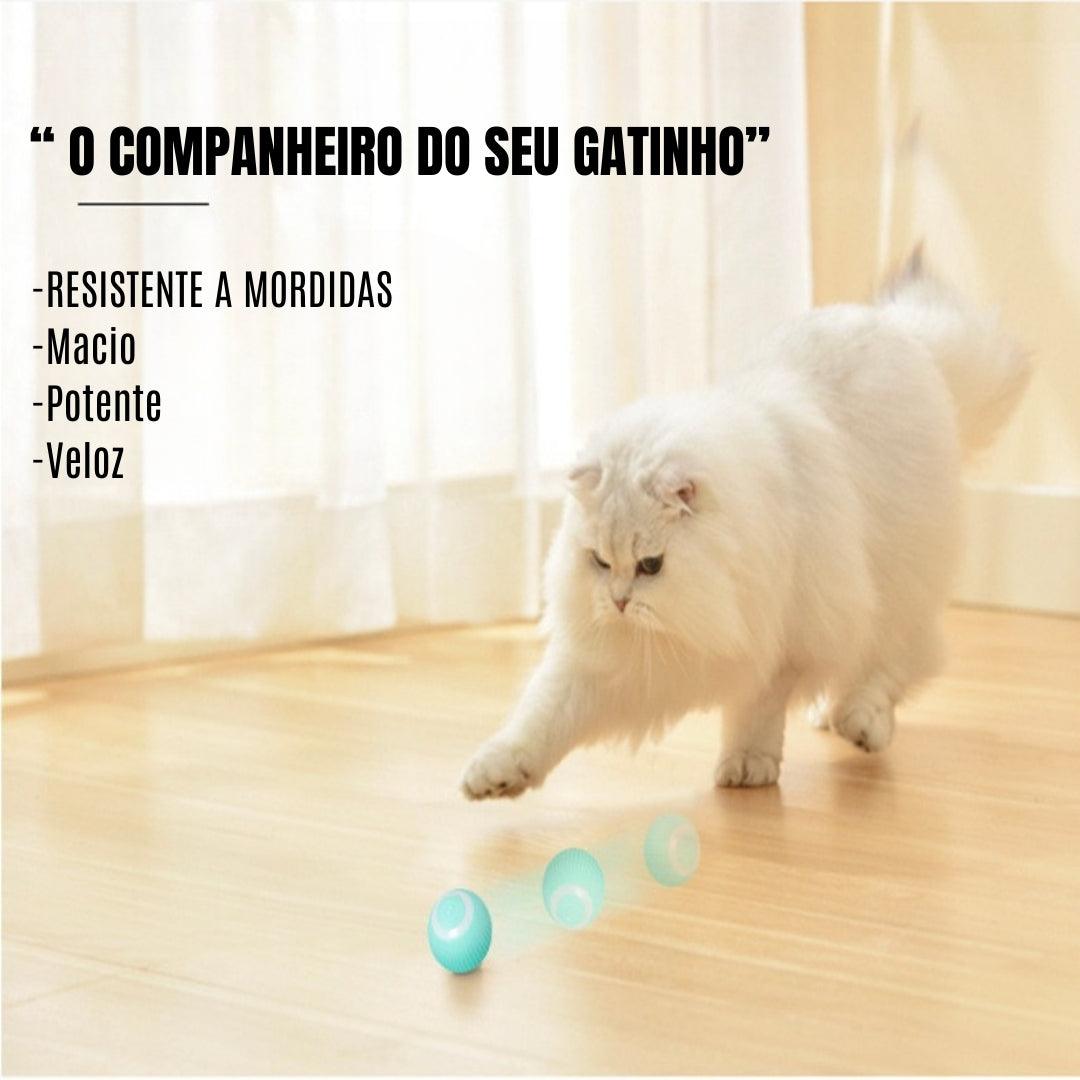 Bola de interativa inteligente para gatos