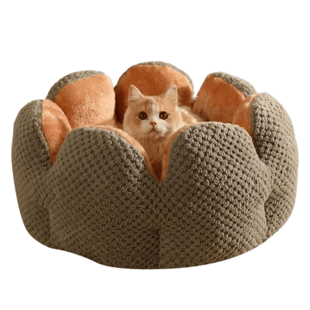 Cama flower para pets - O Chico Tem