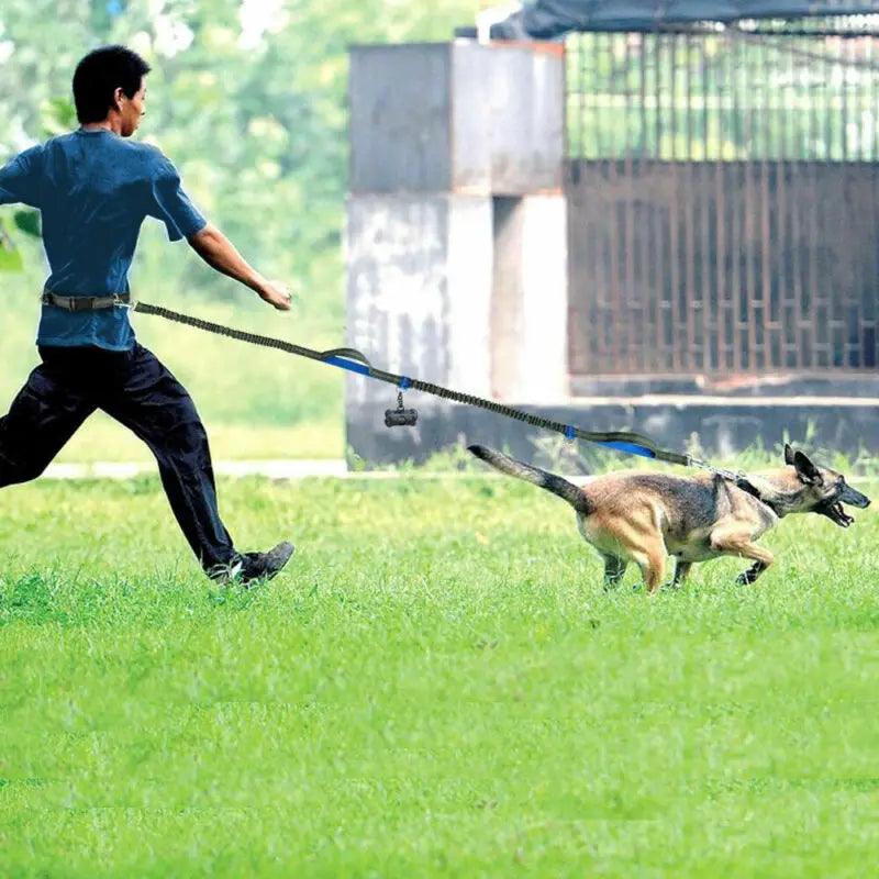 Cinto e Guia de Corrida Elástico - O Chico Tem