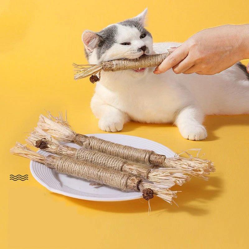 Brinquedos mastigável para gatos - O Chico Tem